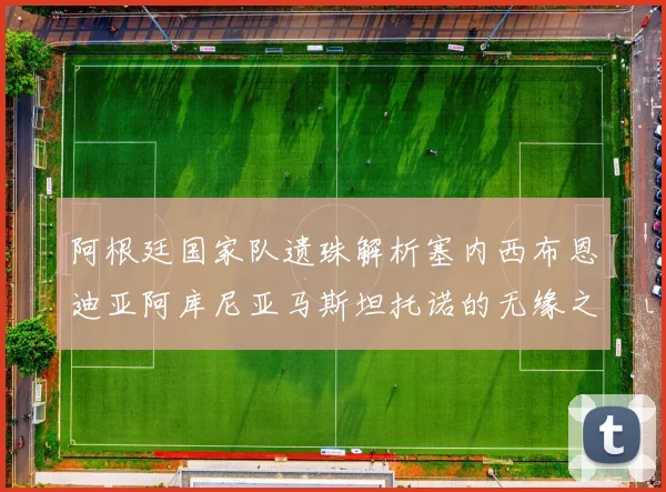 阿根廷国家队遗珠解析塞内西布恩迪亚阿库尼亚马斯坦托诺的无缘之路